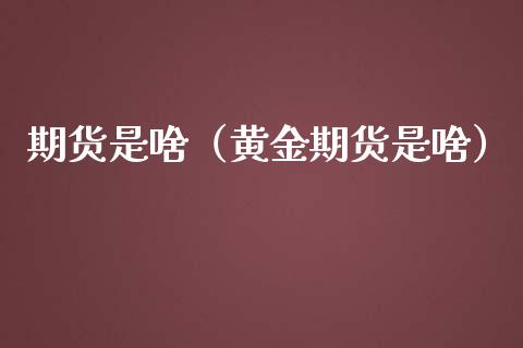 期货是啥（黄金期货是啥）_https://www.xmqjcw.com_期货行情_第1张