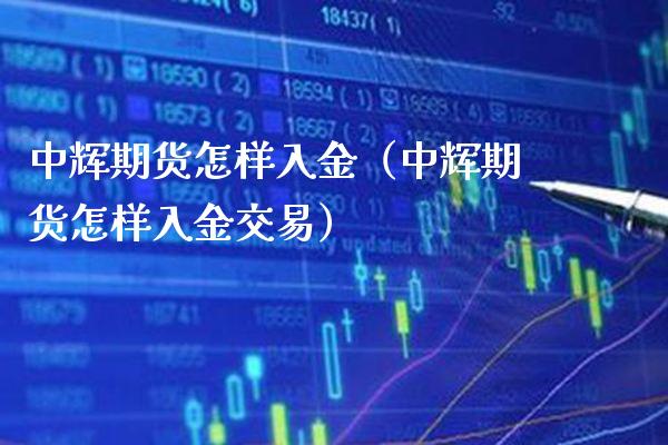 中辉期货怎样入金（中辉期货怎样入金交易）_https://www.xmqjcw.com_期货投资_第1张