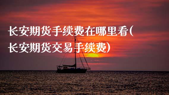 长安期货手续费在哪里看(长安期货交易手续费)_https://www.xmqjcw.com_期货百科_第1张