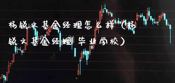 杨锐文基金经理怎么样（杨锐文基金经理 毕业学校）_https://www.xmqjcw.com_基金理财_第1张