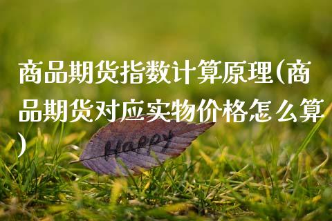 商品期货指数计算原理(商品期货对应实物价格怎么算)_https://www.xmqjcw.com_期货百科_第1张
