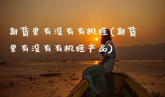 期货里有没有有机硅(期货里有没有有机硅产品)_https://www.xmqjcw.com_期货百科_第1张