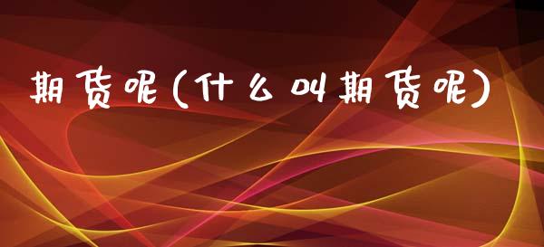 期货呢(什么叫期货呢)_https://www.xmqjcw.com_期货投资_第1张