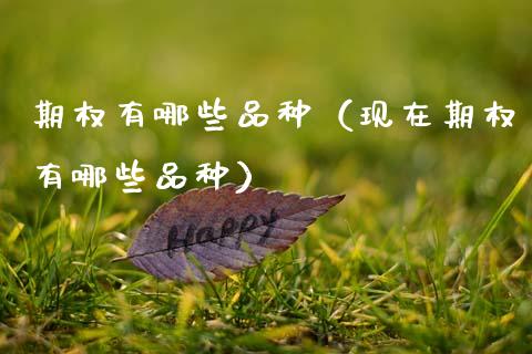 期权有哪些品种（现在期权有哪些品种）_https://www.xmqjcw.com_期货直播室_第1张