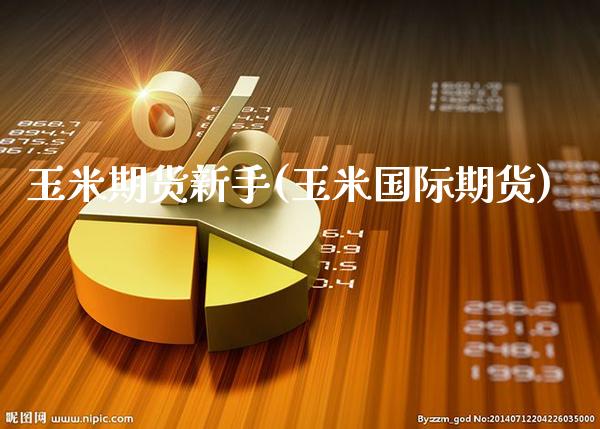 玉米期货新手(玉米国际期货)_https://www.xmqjcw.com_期货投资_第1张