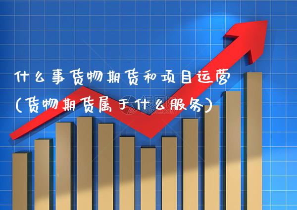 什么事货物期货和项目运营(货物期货属于什么服务)_https://www.xmqjcw.com_期货投资_第1张