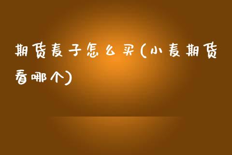 期货麦子怎么买(小麦期货看哪个)_https://www.xmqjcw.com_期货百科_第1张