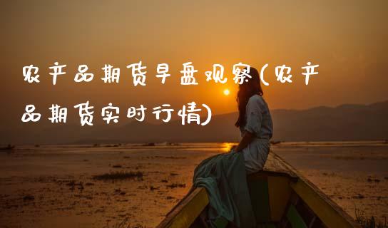 农产品期货早盘观察(农产品期货实时行情)_https://www.xmqjcw.com_期货百科_第1张