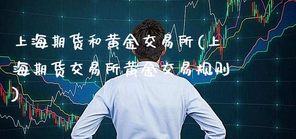 上海期货和黄金交易所(上海期货交易所黄金交易规则)_https://www.xmqjcw.com_期货百科_第1张