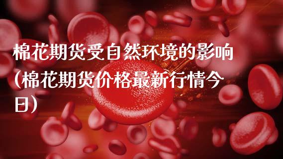 棉花期货受自然环境的影响(棉花期货价格最新行情今日)_https://www.xmqjcw.com_期货直播室_第1张