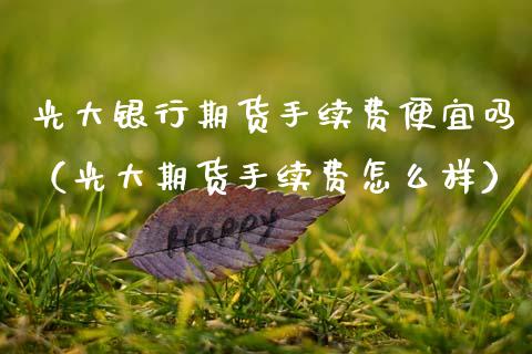 光大银行期货手续费便宜吗（光大期货手续费怎么样）_https://www.xmqjcw.com_期货投资_第1张