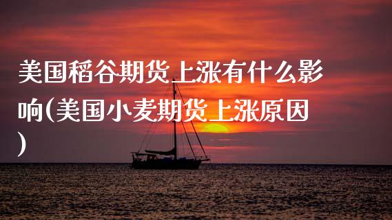 美国稻谷期货上涨有什么影响(美国小麦期货上涨原因)_https://www.xmqjcw.com_基金理财_第1张