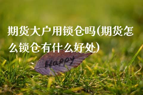 期货大户用锁仓吗(期货怎么锁仓有什么好处)_https://www.xmqjcw.com_期货百科_第1张