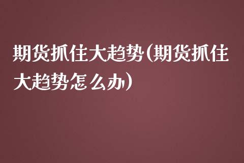 期货抓住大趋势(期货抓住大趋势怎么办)_https://www.xmqjcw.com_期货投资_第1张