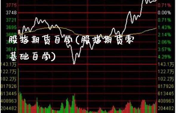 股指期货自学(股指期货零基础自学)_https://www.xmqjcw.com_期货开户_第1张