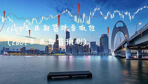 cbot玉米期货跌至低位(cbot玉米期货预测)_https://www.xmqjcw.com_期货百科_第1张