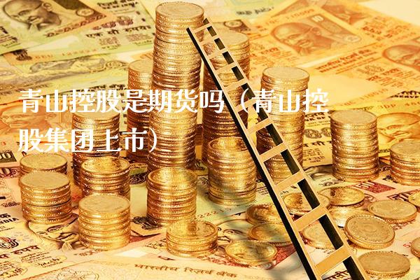 青山控股是期货吗（青山控股集团上市）_https://www.xmqjcw.com_期货行情_第1张
