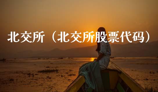 北交所（北交所股票代码）_https://www.xmqjcw.com_期货直播室_第1张