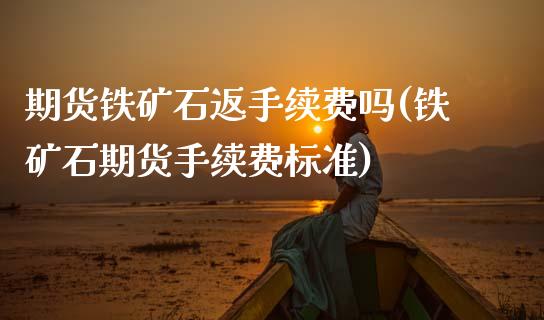 期货铁矿石返手续费吗(铁矿石期货手续费标准)_https://www.xmqjcw.com_期货百科_第1张