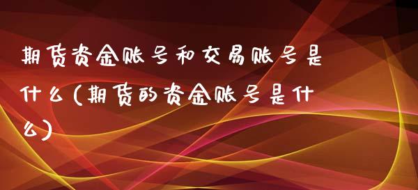 期货资金账号和交易账号是什么(期货的资金账号是什么)_https://www.xmqjcw.com_股票投资_第1张