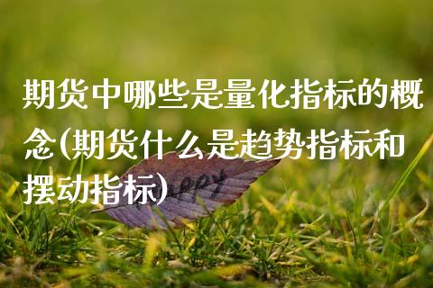 期货中哪些是量化指标的概念(期货什么是趋势指标和摆动指标)_https://www.xmqjcw.com_期货行情_第1张