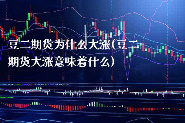 豆二期货为什么大涨(豆二期货大涨意味着什么)_https://www.xmqjcw.com_期货行情_第1张