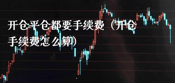 开仓平仓都要手续费（开仓手续费怎么算）_https://www.xmqjcw.com_期货投资_第1张