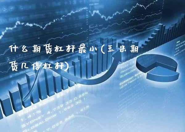 什么期货杠杆最小(玉米期货几倍杠杆)_https://www.xmqjcw.com_期货百科_第1张