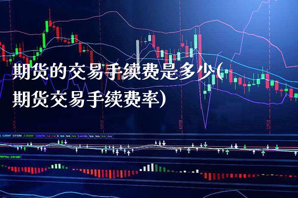 期货的交易手续费是多少(期货交易手续费率)_https://www.xmqjcw.com_期货投资_第1张