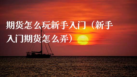 期货怎么玩新手入门（新手入门期货怎么弄）_https://www.xmqjcw.com_期货投资_第1张