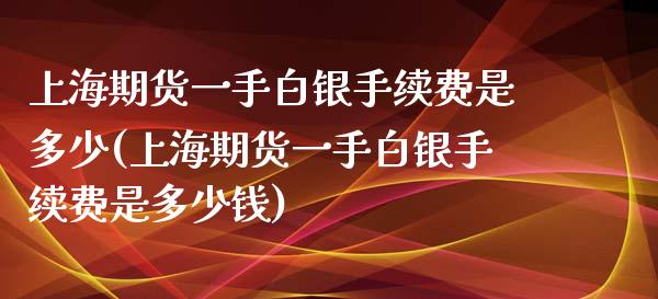 上海期货一手白银手续费是多少(上海期货一手白银手续费是多少钱)_https://www.xmqjcw.com_期货投资_第1张