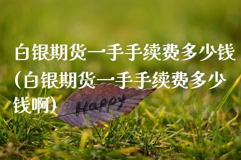白银期货一手手续费多少钱(白银期货一手手续费多少钱啊)_https://www.xmqjcw.com_期货投资_第1张