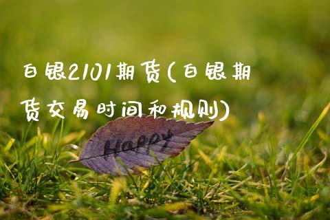 白银2101期货(白银期货交易时间和规则)_https://www.xmqjcw.com_期货百科_第1张