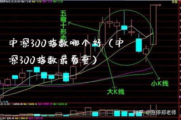 沪深300指数哪个好（沪深300指数最看重）_https://www.xmqjcw.com_期货直播室_第1张