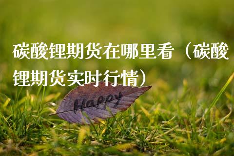 碳酸锂期货在哪里看（碳酸锂期货实时行情）_https://www.xmqjcw.com_期货直播室_第1张