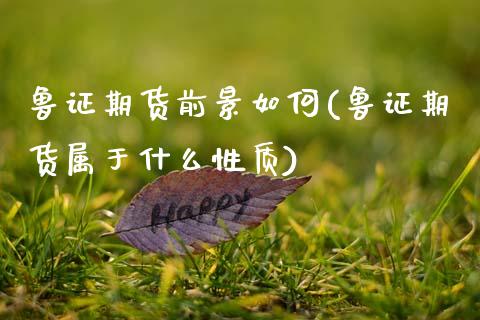 鲁证期货前景如何(鲁证期货属于什么性质)_https://www.xmqjcw.com_期货百科_第1张