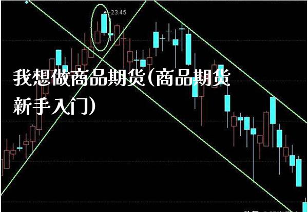 我想做商品期货(商品期货新手入门)_https://www.xmqjcw.com_期货直播室_第1张