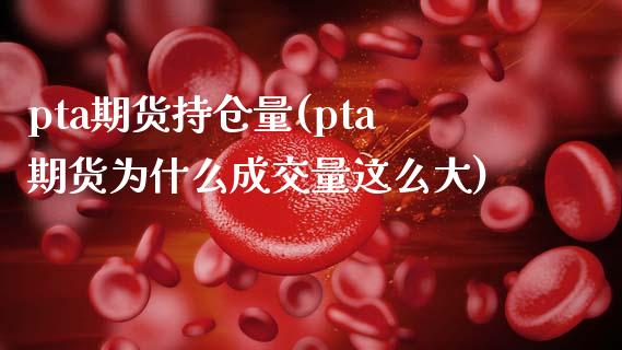 pta期货持仓量(pta期货为什么成交量这么大)_https://www.xmqjcw.com_期货百科_第1张