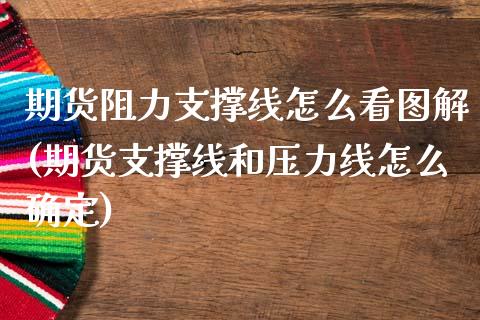 期货阻力支撑线怎么看图解(期货支撑线和压力线怎么确定)_https://www.xmqjcw.com_期货百科_第1张