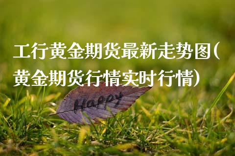 工行黄金期货最新走势图(黄金期货行情实时行情)_https://www.xmqjcw.com_期货百科_第1张