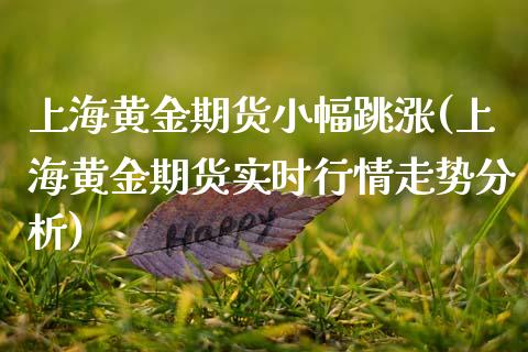 上海黄金期货小幅跳涨(上海黄金期货实时行情走势分析)_https://www.xmqjcw.com_期货直播室_第1张