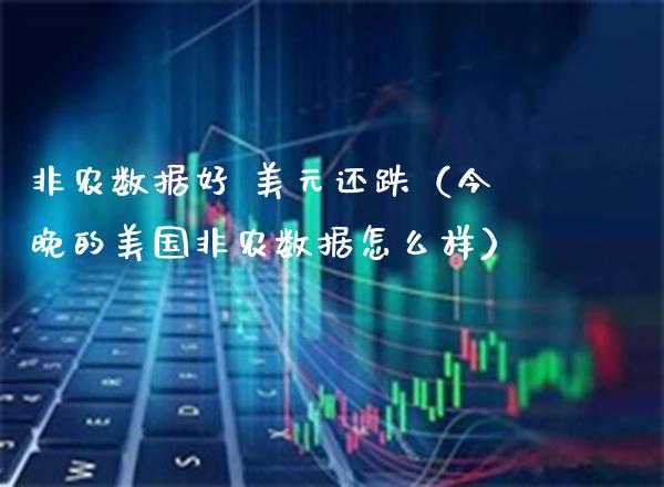 非农数据好 美元还跌（今晚的美国非农数据怎么样）_https://www.xmqjcw.com_期货行情_第1张