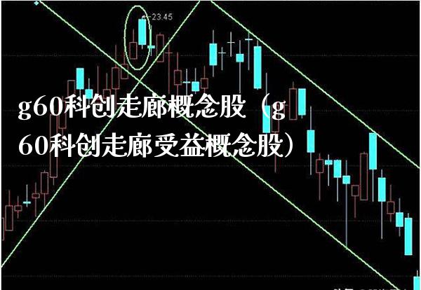 g60科创走廊概念股（g60科创走廊受益概念股）_https://www.xmqjcw.com_股票投资_第1张