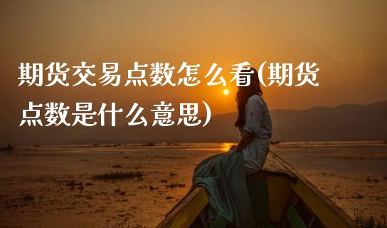 期货交易点数怎么看(期货点数是什么意思)_https://www.xmqjcw.com_期货百科_第1张