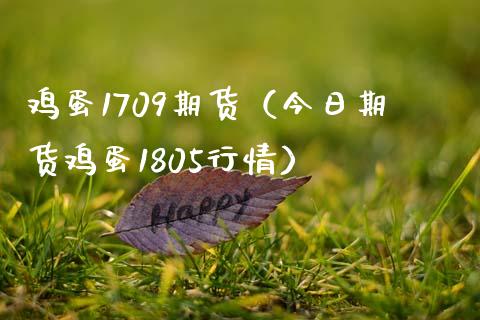 鸡蛋1709期货（今日期货鸡蛋1805行情）_https://www.xmqjcw.com_期货行情_第1张