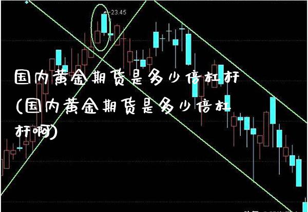 国内黄金期货是多少倍杠杆(国内黄金期货是多少倍杠杆啊)_https://www.xmqjcw.com_期货投资_第1张