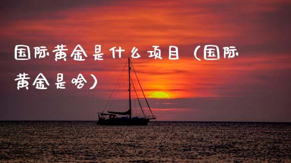 国际黄金是什么项目（国际黄金是啥）_https://www.xmqjcw.com_期货直播室_第1张