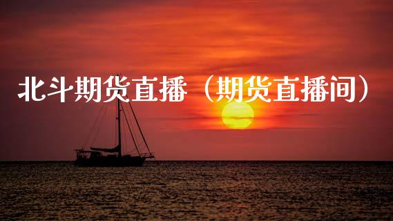 北斗期货直播（期货直播间）_https://www.xmqjcw.com_期货投资_第1张