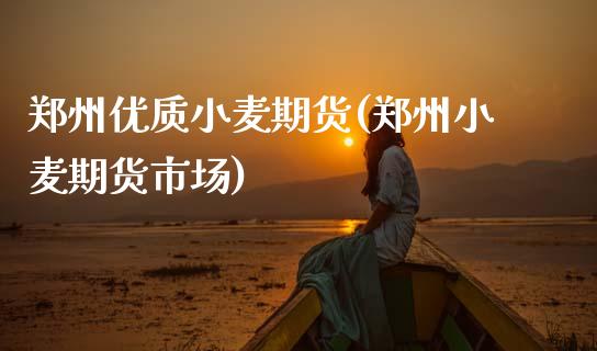郑州优质小麦期货(郑州小麦期货市场)_https://www.xmqjcw.com_期货行情_第1张
