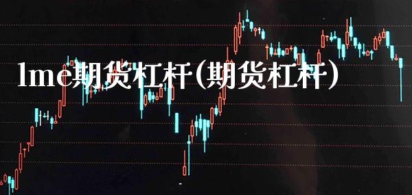 lme期货杠杆(期货杠杆)_https://www.xmqjcw.com_期货投资_第1张